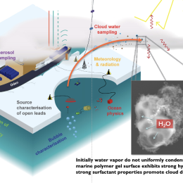 Schematic of the project.